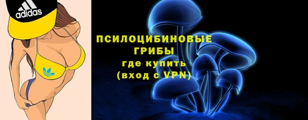ешки Корсаков