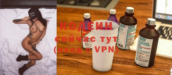 ешки Корсаков