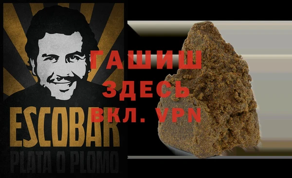 ешки Корсаков