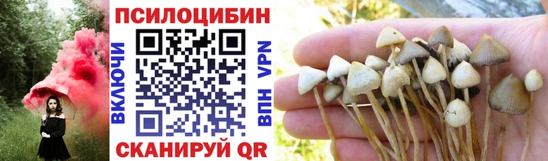 Галлюциногенные грибы Psilocybe Купить закладки Гулькевичи