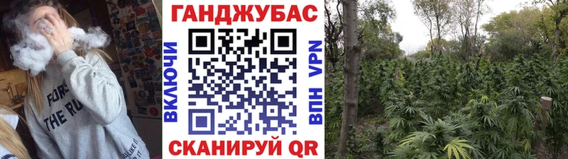 МАРИХУАНА план  Купить где  Гулькевичи 
